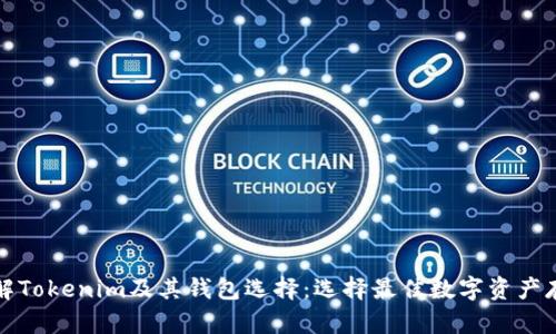 深入了解Tokenim及其钱包选择：选择最佳数字资产存储方案