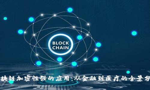 区块链加密性强的应用：从金融到医疗的全景分析