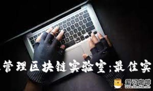 如何高效管理区块链实验室：最佳实践与策略