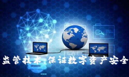 区块链安全监管技术:保证数字资产安全的未来之路