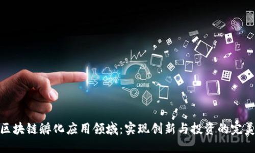 探索区块链孵化应用领域：实现创新与投资的完美结合