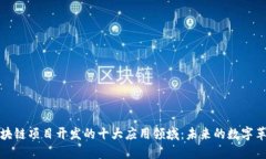 区块链项目开发的十大应用领域：未来