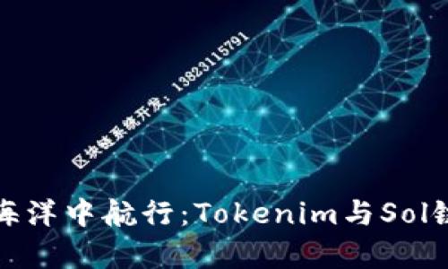 在区块链的海洋中航行：Tokenim与Sol链的浪潮共舞