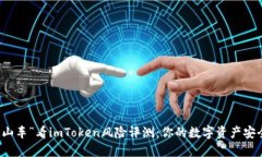 用“过山车”看imToken风险评测：你的数字资产安