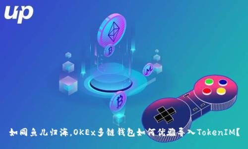 如同鱼儿归海，OKEx多链钱包如何优雅导入TokenIM？