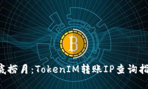 海底捞月:TokenIM转账IP查询指南!