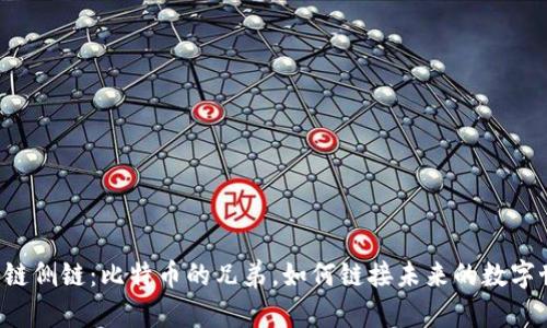 区块链侧链:比特币的兄弟,如何链接未来的数字世界?