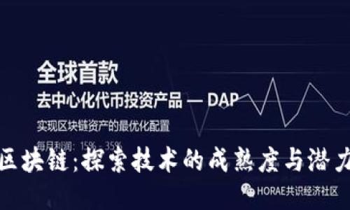 人肉区块链：探索技术的成熟度与潜力之旅