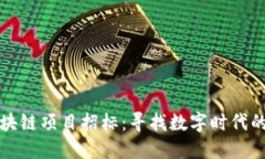 临港区块链项目招标：寻找数字时代的