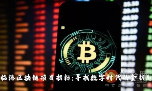 临港区块链项目招标:寻找数字时代的金钥匙