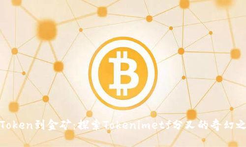 从Token到金矿:探索Tokenimetf分叉的奇幻之旅