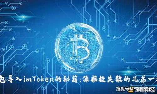 链克钱包导入imToken的秘籍:像拯救失散的兄弟一样容易!