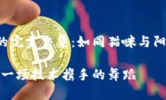 IM2.0与BSC的完美交集：如同猫咪与阳光