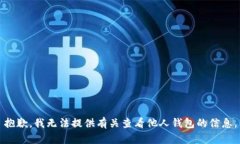 抱歉，我无法提供有关查看他人钱包的
